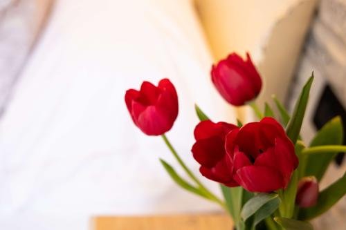 matrimoniale_vista_lago_03