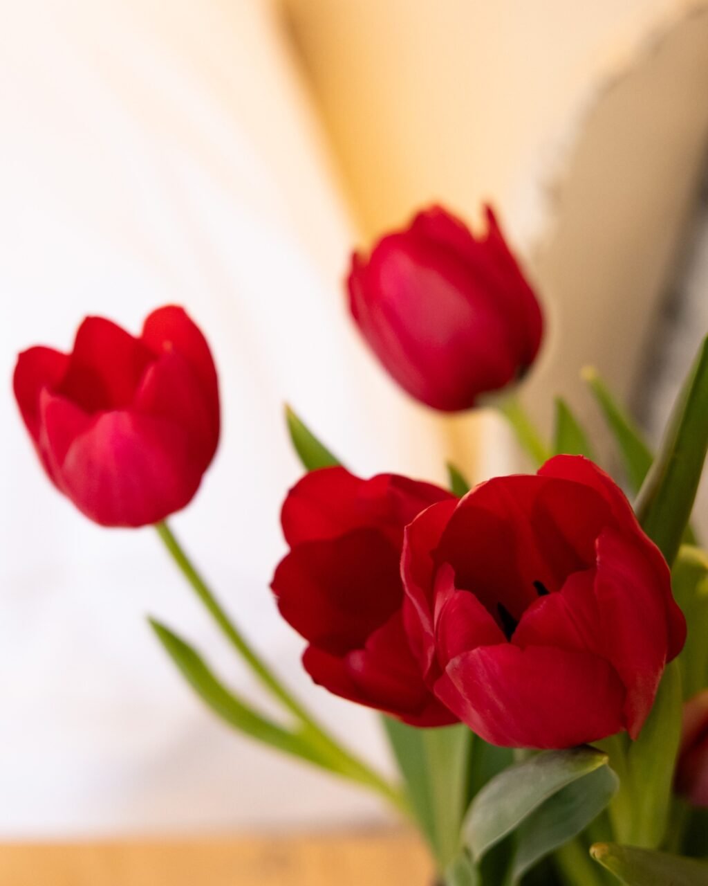 Instagram post from florencegarda. This post is in position 0.