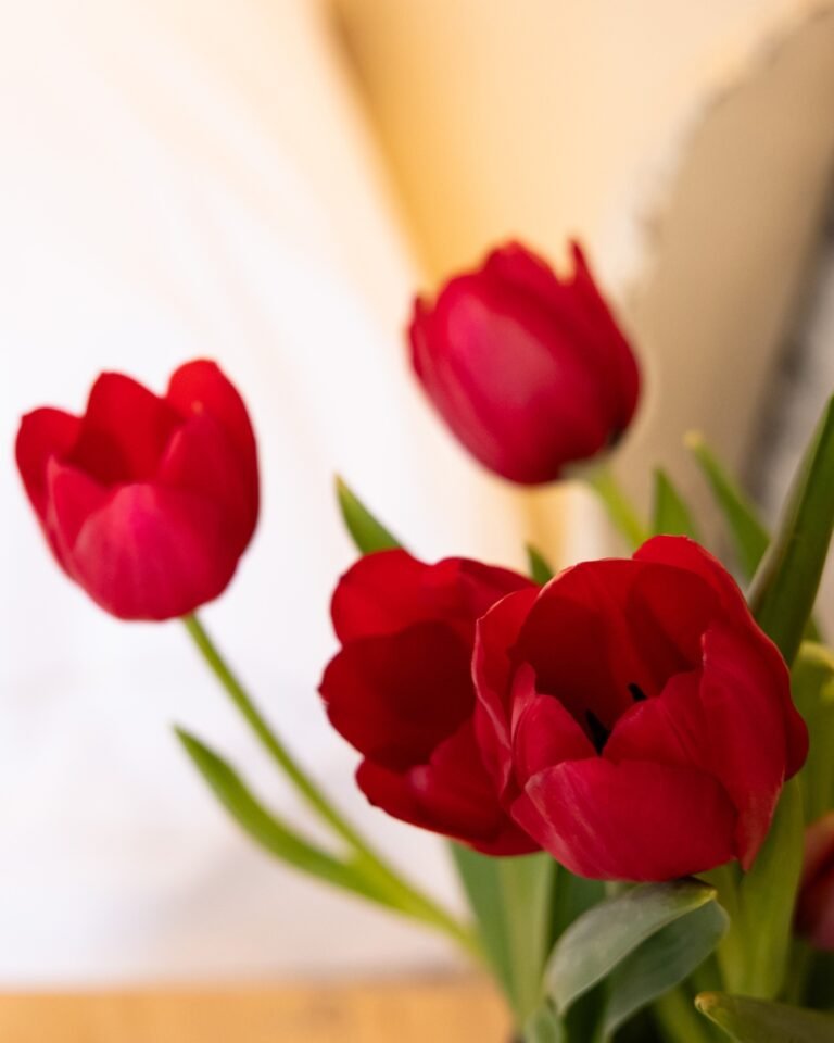 Instagram post from florencegarda. This post is in position 1.