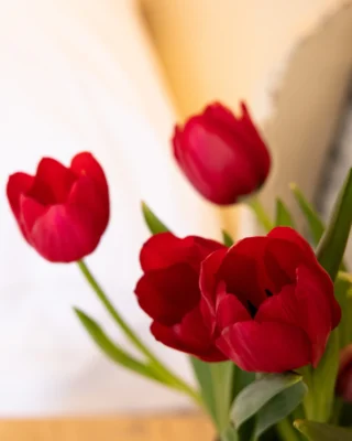 Instagram post from florencegarda. This post is in position 4.