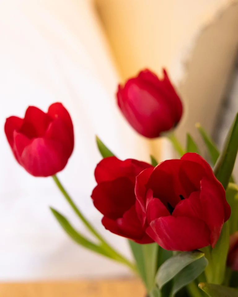 Instagram post from florencegarda. This post is in position 3.