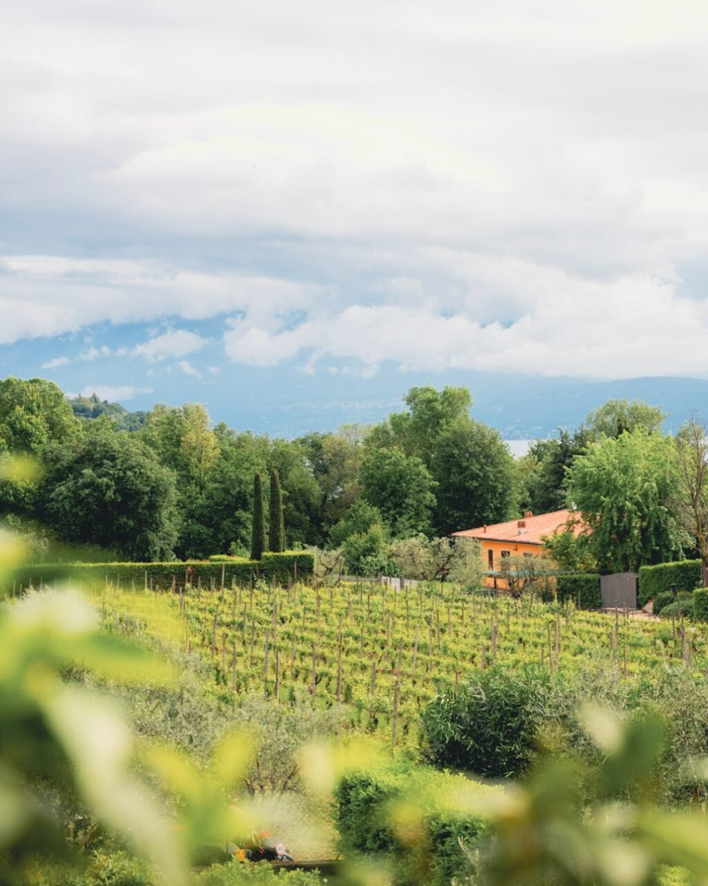 Instagram post from florencegarda. This post is in position 2.