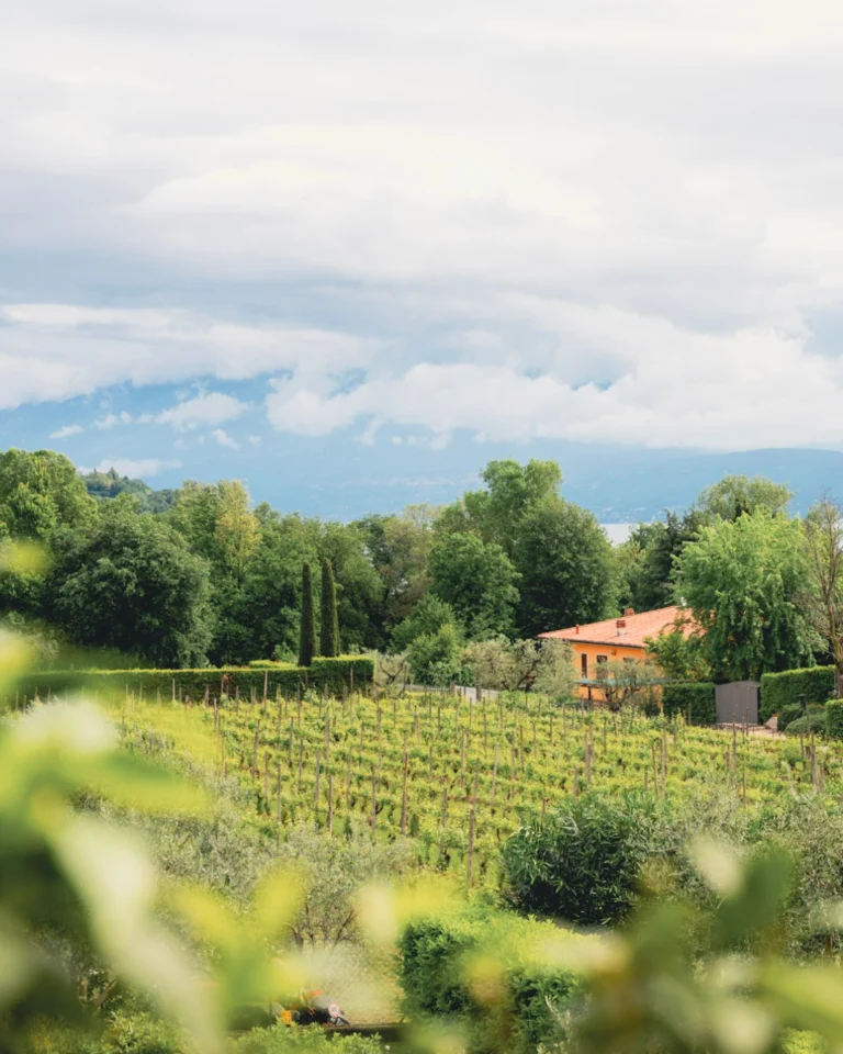 Instagram post from florencegarda. This post is in position 2.