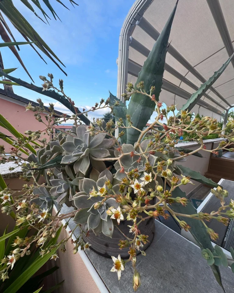 Instagram post from florencegarda. This post is in position 2.